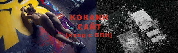сатива Елизово