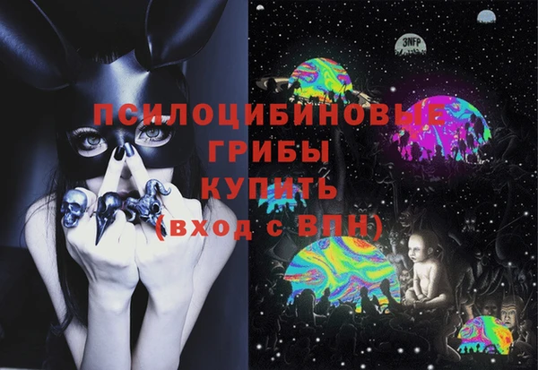 твердый Елабуга