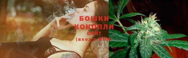 твердый Елабуга