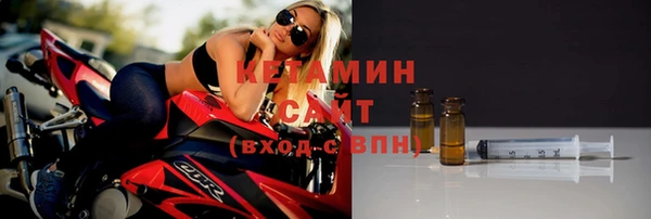 сатива Елизово
