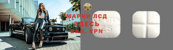 сатива Елизово