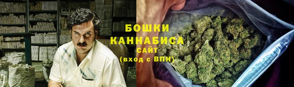 сатива Елизово