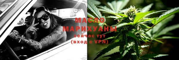 сатива Елизово